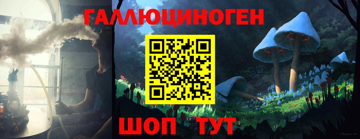Псилоцибиновые грибы прущие грибы Гай