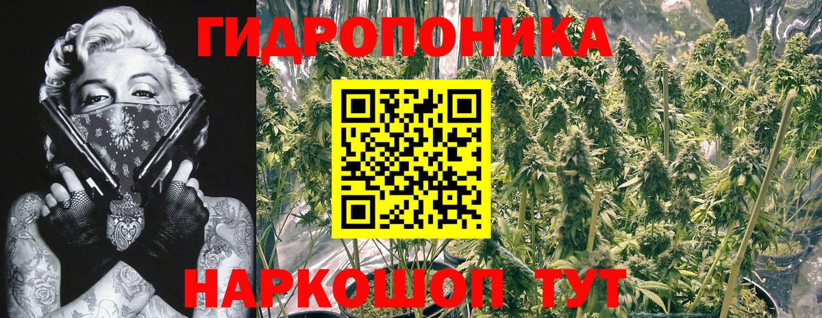 Каннабис сатива  Вход с VPN  Марихуана семена  Гай  Шишки марихуана гибрид  Шишки марихуана гибрид 